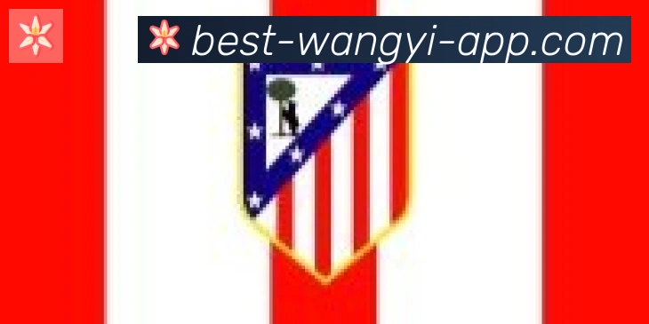 网易体育合作伙伴